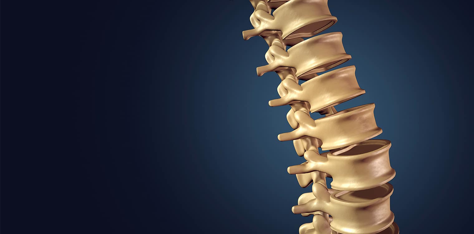 Image de la colonne vertebrale - osteopathie indications | IK Paris