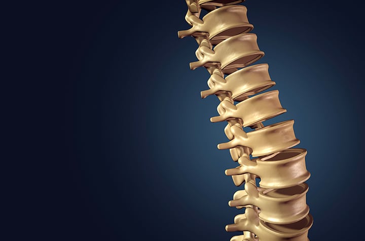 Image de la colonne vertebrale - osteopathie indications | IK Paris